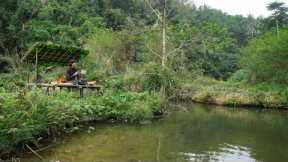 2 Days solo survival CAMPING by the Stream, Bushcraft Survival Shelter. Fish Trap, Catch and Cook