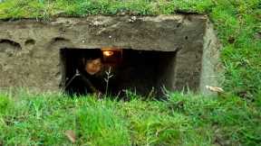 Girl Living Off Grid Built The Most Secret Underground House to Live in the Jungle