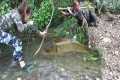 Hunting Stream Fish With Bow and