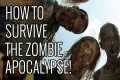 How To Survive the Zombie Apocalypse