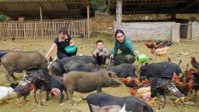cooking bran for pigs, taking care of farm animals, life in the wild, survival alone