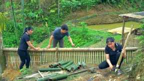 Journey to stabilize life: Together Build a fence for the duck raising area. Plant taro