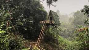 240h Survival - Build a 10m Tree Shelter in the Rainforest with Ancient Skills - Tree House (P1)