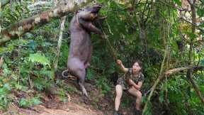 detect wild boar tracks, set traps to catch, catch stream fish, cook, survival alone