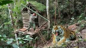survival skills, tiger attack, 5 days of building a shelter in a tree, survival instincts
