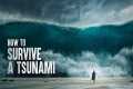 How to Survive a Tsunami, According