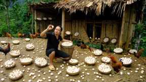 Duong's Harvesting a lot of Chicken Eggs goes to market sell