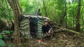 2 DAYS SOLO SURVIVAL: (NO FOOD, NO WATER)Survival Shelter Under a Tree by the Stream, Catch and Cook