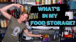 EMERGENCY FOOD STORAGE TOUR | HOW TO START A PREPPER PANTRY ON A BUDGET | VLOGUST #19