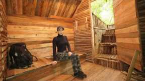 Rainy Season Building Survival Underground Wooden Bushcraft Shelter In Wilderness , Start to Finish