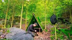 8 DAYS solo Survival Skills; (NO FOOD, NO WATER) Survival Shelter (Search Wild Food) Catch & Cook