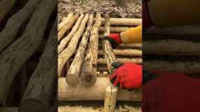 DUGOUT IN THE FOREST #building #bushcraft #dugout #survival #forest