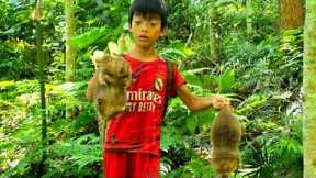 Bac's survival skills, the technique of catching bamboo rats in the forest, forest banana harvest.