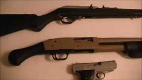 Best Guns For The Budget Minded Prepper Mosin Nagant 91/30 Ruger 1022 Marlin 795 ss SHTF Survival