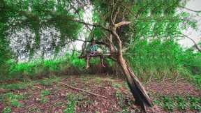 Primitive survival skills in the forest make shelter in the trees#survival @Primitiveshelter