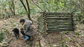 With his survival skills, Nam's boy created a bamboo trap to catch the wild boar to sell