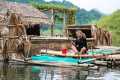 Heavy Rain! Fishing, Animal Care,