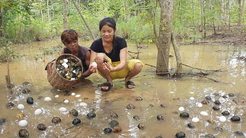 Survival in the rainforest, Pick egg and snail for food in jungle, Cooking egg with snail for dinner