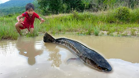 Survival Skills In Forest: SIMPLE and USEFUL With Big Fish In The Forest