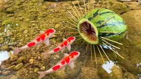 Survival Skills: SIMPLE and USEFUL with watermelon fish trap in forest