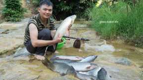 Lots of fish found after flood season. Robert | Green forest life