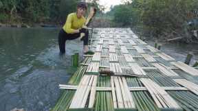 Primitive way of catching fish using bamboo as a trellis - Build trap fish to survival Ep1