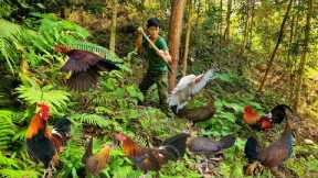 75 days of using survival skills, trapping wild boars, wild chickens, wild fish, survival alone