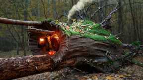 Building a Warm and Cozy Hollow for Survival, in the root of a fallen spruce. Secret cave, Bushcraft