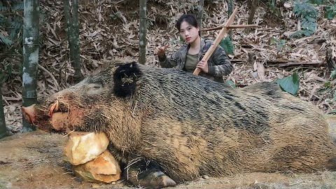 winter survival, trapping skills, wild boar, survival alone