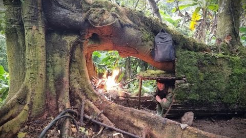 30 days living in the wild forest, building a survival shelter under a mysterious tree