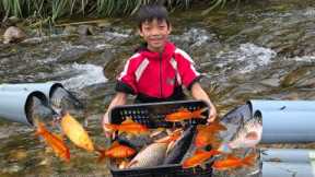 Bac’s survival skills, unexpectedly discovered strange fish while revisiting old fish traps.