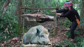 3 days of survival alone in the forest, building a shelter, and skills to trap wild boars