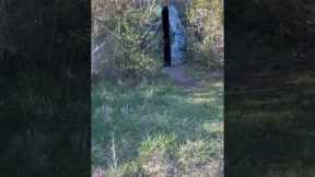 Exploring Abandoned military bunkers #scary #hike #bunker #abandoned