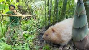 Bamboo Rat Burrowing Skills, Survival in the Wild, Building a Farm Life, ALONE SURVIVAL