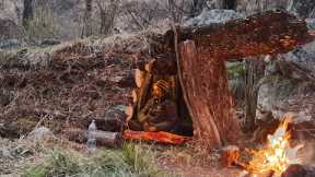 Building a survival shelter under fallen tree, solo bushcraft camp in the wilderness