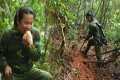 Harvesting Bamboo Shoots on Cold