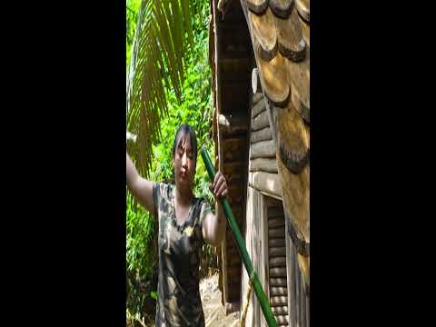 Bushcraft Skills - How to Make Effective Darts in the Jungle#SuvivalSkills #tips
