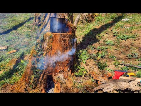 Survival Skills: Amazing DIY Stove from a Tree Stump in the Wild. Bushcraft. Camping