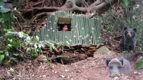 Jungle Survival Skills, Building Shelters to Avoid Wild Animals