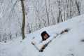 Winter Survival Shelter Built From