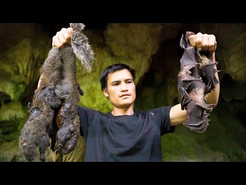LIVE 24H - Survival Skills In Forest: Set Traps - Eat Whatever They Can Find