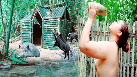 120 Days of Survival: Building Shelters & Hunting in the Deep Jungle | phượng pú