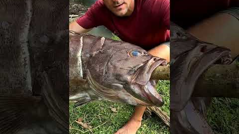Catch Fish At lake For Survival. Primitive FIRE STARTING TECHNIQUES.