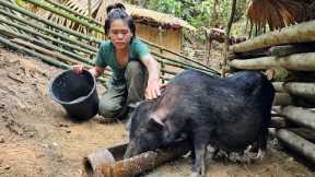 build bamboo fence, build farm in forest, catch stream fish, green forest life, survival skill alone