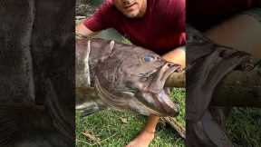 Catch Fish At lake For Survival. Primitive FIRE STARTING TECHNIQUES.