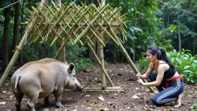 Full 45-Day Survival Video: Jungle Cabin Build, Hunting Wild Boar with Giant Pit Trap