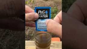 Survival Skills: I don't know how, but it's amazing #camping #bushcraft