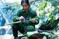 Wild Foraging, Primitive Survival