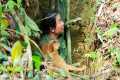 A Miraculous Rescue: The Moment of