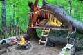 Jungle Survival Skills: Build the